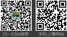 手機(jī)站
